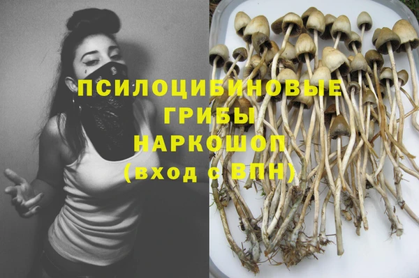 2c-b Вязьма