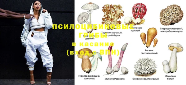 ECSTASY Вяземский