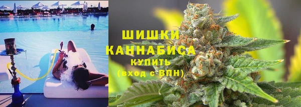 ECSTASY Вяземский
