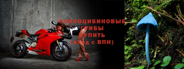 ECSTASY Вяземский