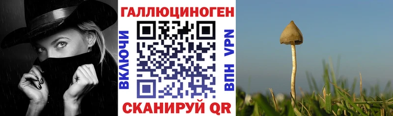 как найти закладки  MEGA   Галлюциногенные грибы GOLDEN TEACHER  Каменск-Уральский 